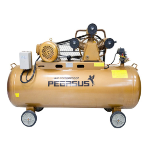 Máy nén khí Pegasus TM-W-1.0/8-500L
