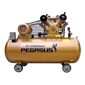 Máy nén khí Pegasus TM-V-1.05/12.5-330L