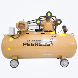 Máy nén khí Pegasus TM-W-0.9/8-500L