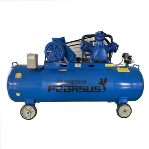 Máy nén khí Pegasus TM-W-1.0/8-330L
