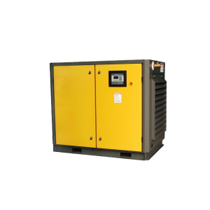 Máy nén khí trục vít Pegasus TMPM120A