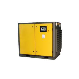 Máy nén khí trục vít Pegasus TMPM100A