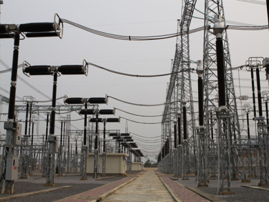 [#Top 6] Loại Mỡ Dẫn Điện Được Ưa Chuộng Nhất Hiện Nay