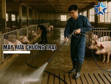 TOP 12++ Máy rửa chuồng trại: Xịt mạnh, Sạch nhanh, Bền khỏe