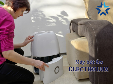 [Đánh giá/Review] Top 3 máy hút ẩm Electrolux bán chạy hiện nay