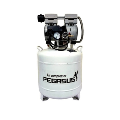 Máy nén khí không dầu Pegasus TM-OF750-50L