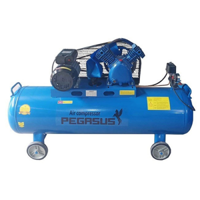 Máy nén khí Pegasus TM-V-0.17/8-180L