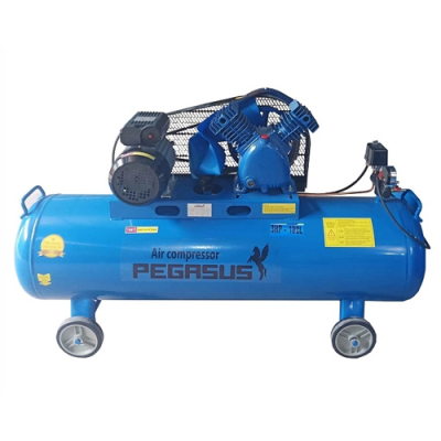 Máy nén khí Pegasus TM-V-0.25/12.5-180L