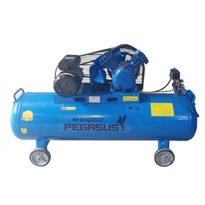 Máy nén khí Pegasus TM-V-0.25/12.5-120L
