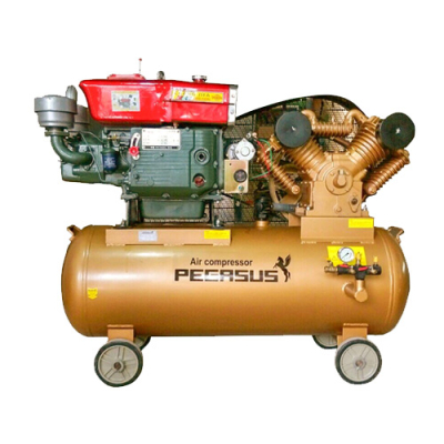 Máy nén khí chạy dầu Pegasus TM-W-1.6/12.5-500L
