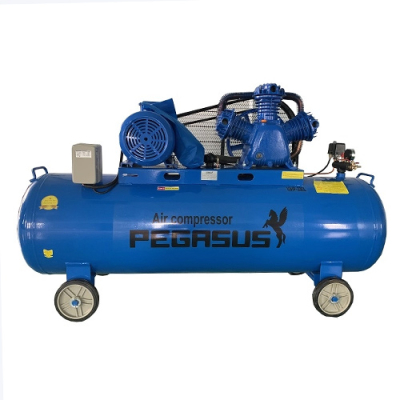 Máy nén khí Pegasus TM-W-1.0/8-330L