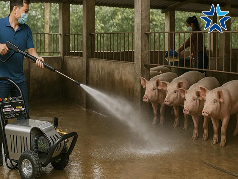 máy bơm rửa chuồng trại xịt rửa siêu mạnh