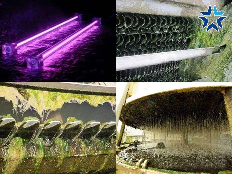 rong rêu bám vào tháp giải nhiệt