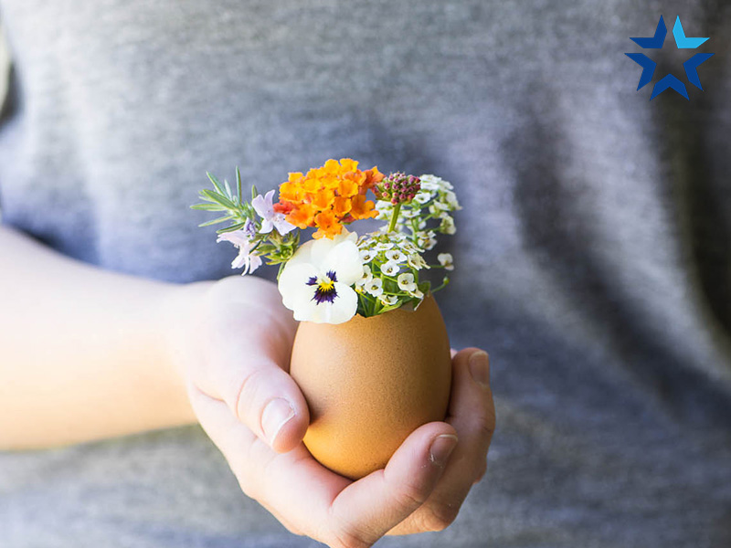 Làm chậu cây xinh xắn