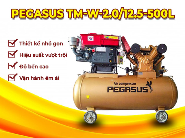 đặc điểm máy nén khí Pegasus TM-W-2.0/12.5-500L