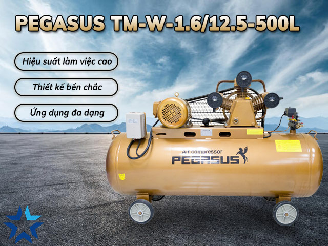 Một số đặc điểm nổi bật của Pegasus TM-W-1.6/12.5-500L