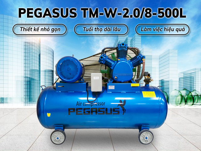Máy nén không khí Pegasus TM-W-2.0/8-500L