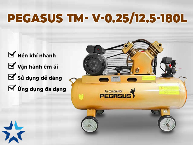 máy nén khí pegasus TM- V-0.25/12.5-180L
