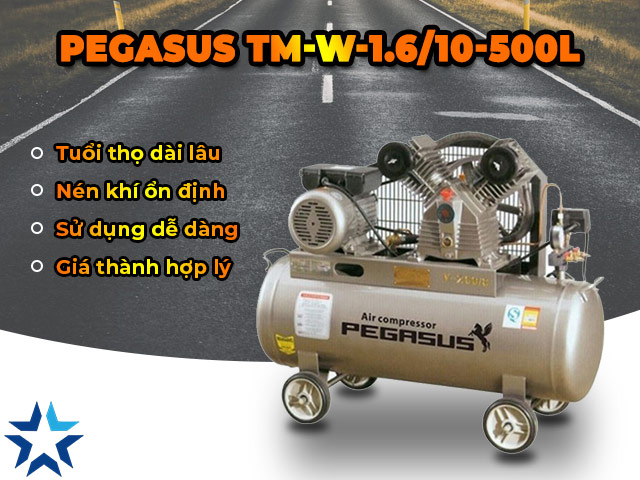 đặc điểm nổi bật của máy nén hơi Pegasus TM-W-1.6/10-500L