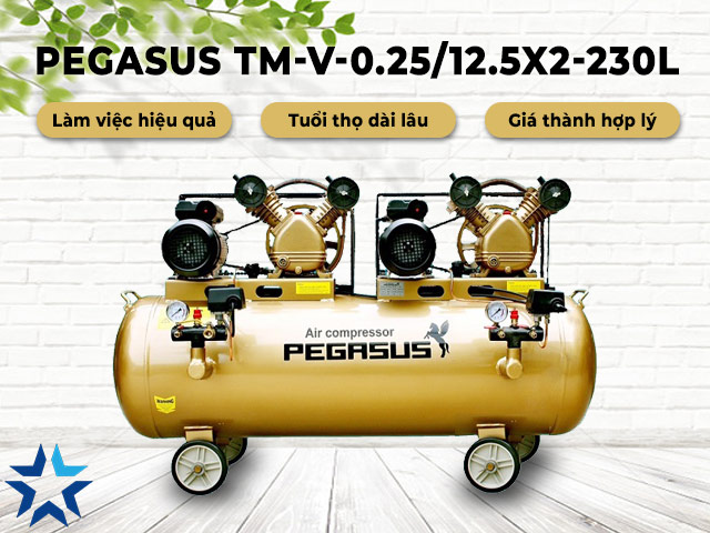 đặc điểm nổi bật của máy nén khí Pegasus TM-V-0.25/12.5x2-230L