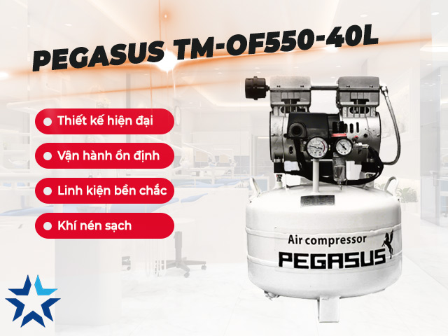 máy nén khí không dầu Pegasus TM-OF550-40L