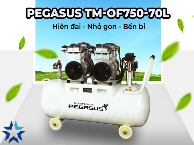Máy nén khí không dầu Pegasus TM-OF750-70L