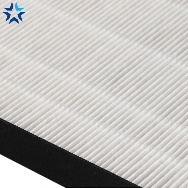 Ảnh chụp cận Màng lọc HEPA Sharp FP-J40E-W