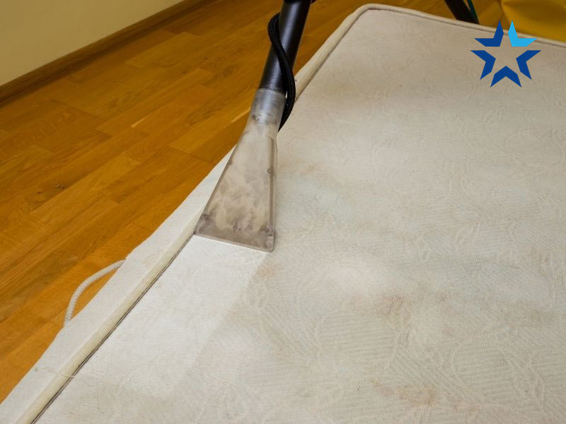 Máy giặt thảm gia đình làm sạch sâu ruột đệm bông ép